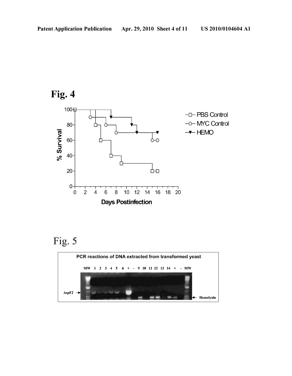 Compositions and Methods to Elicit Immune Responses Against Pathogenic Organisms Using Yeast Based Vaccines - diagram, schematic, and image 05