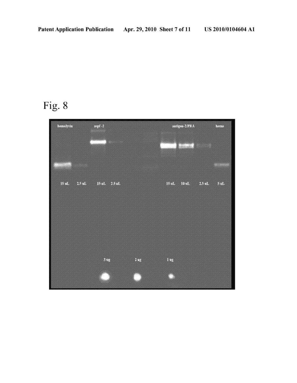 Compositions and Methods to Elicit Immune Responses Against Pathogenic Organisms Using Yeast Based Vaccines - diagram, schematic, and image 08