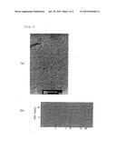 NANOPARTICLE COMPOSITION FOR PREVENTION OF HAIR LOSS AND PROMOTION OF HAIR GROWTH diagram and image