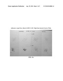 Waterborne Film-Forming Compositions Containing Reactive Surfactants and/or Humectants diagram and image