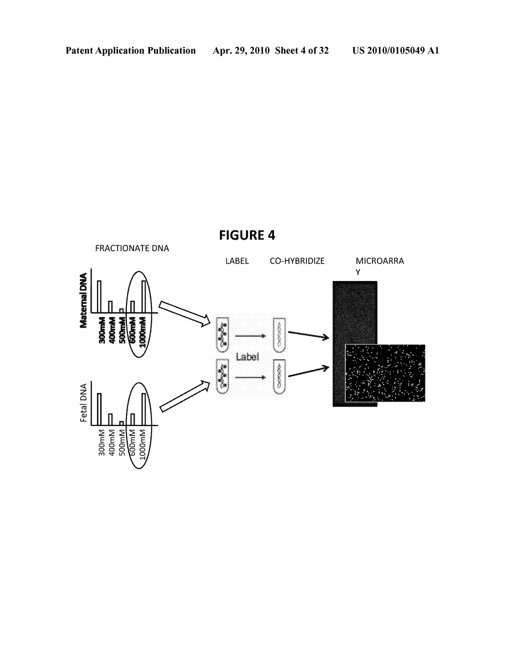 PROCESSES AND COMPOSITIONS FOR METHYLATION-BASED ENRICHMENT OF FETAL NUCLEIC ACID FROM A MATERNAL SAMPLE USEFUL FOR NON INVASIVE PRENATAL DIAGNOSES - diagram, schematic, and image 05