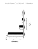 METHOD FOR DETECTING HUMAN PARVOVIRUS ANTIGEN diagram and image