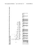 METHOD OF DIAGNOSING AND STRATIFYING ANTI-PHOSPHOLIPID SYNDROME diagram and image