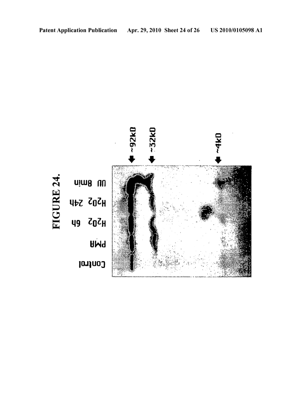 Methods of Identifying Disease Biomarkers in the Lense of the Eye - diagram, schematic, and image 25