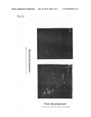 METHOD FOR PRODUCTION OF DHA-CONTAINING PHOSPHOLIPID THROUGH MICROBIAL FERMENTATION diagram and image
