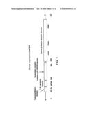 Nucleic acid molecules encoding transmembrane serine proteases, the encoded proteins and methods based thereon diagram and image