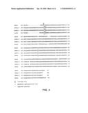 Nucleic acid molecules encoding transmembrane serine proteases, the encoded proteins and methods based thereon diagram and image