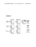 POROUS MEMBRANE DEVICE THAT PROMOTES THE DIFFERENTIATION OF MONOCYTES INTO DENDRITIC CELLS diagram and image