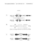 PLAICE DNA TRANSPOSON SYSTEM diagram and image