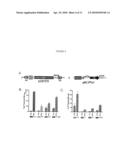 PLAICE DNA TRANSPOSON SYSTEM diagram and image