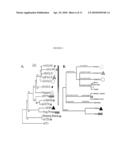 PLAICE DNA TRANSPOSON SYSTEM diagram and image