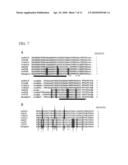 PLAICE DNA TRANSPOSON SYSTEM diagram and image