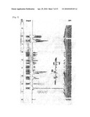 FLUORESCENT DYE-LABELED GLUCOSE BIOPROBE, SYNTHESIS METHOD AND USAGE THEREOF diagram and image