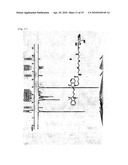 FLUORESCENT DYE-LABELED GLUCOSE BIOPROBE, SYNTHESIS METHOD AND USAGE THEREOF diagram and image