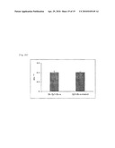 FLUORESCENT DYE-LABELED GLUCOSE BIOPROBE, SYNTHESIS METHOD AND USAGE THEREOF diagram and image