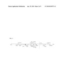 VECTOR AND MICROORGANISM FOR INCREASING GALACTOSE CATABOLISM AND METHODS THEREFOR diagram and image