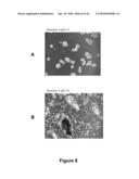 FATTY ACID FORMULATIONS AND ORAL DELIVERY OF PROTEINS AND PEPTIDES, AND USES THEREOF diagram and image