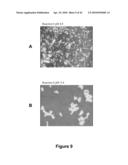 FATTY ACID FORMULATIONS AND ORAL DELIVERY OF PROTEINS AND PEPTIDES, AND USES THEREOF diagram and image