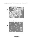 FATTY ACID FORMULATIONS AND ORAL DELIVERY OF PROTEINS AND PEPTIDES, AND USES THEREOF diagram and image