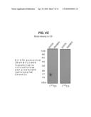 METHOD OF TREATING RESPIRATORY DISORDERS diagram and image