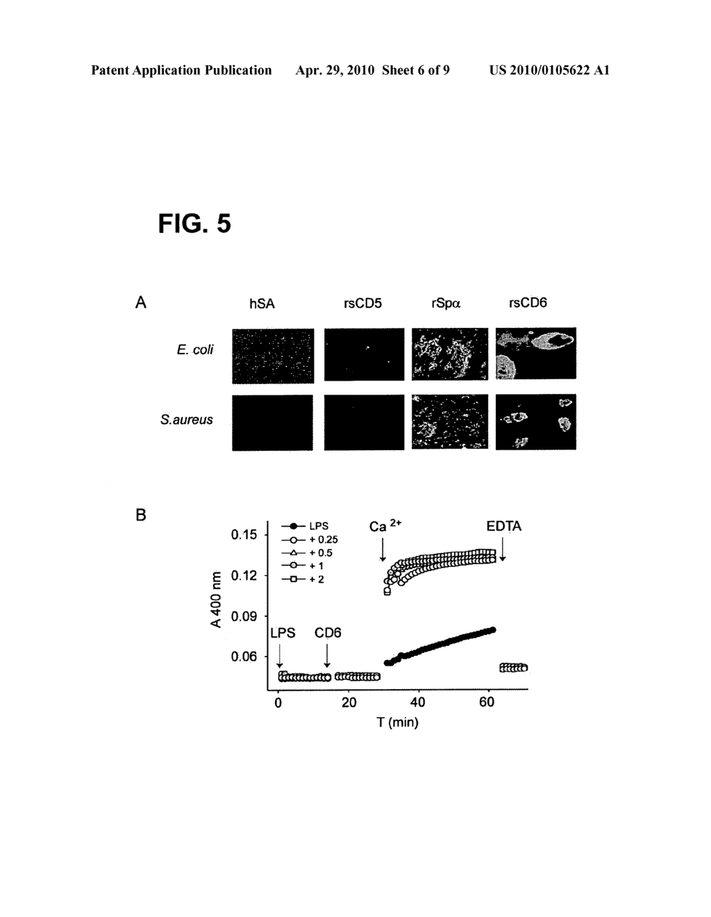 Protein Product for Treatment of Infectious Diseases and Related Inflammatory Processes - diagram, schematic, and image 07