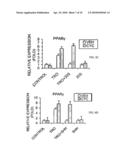 INHIBITION OF PPAR GAMMA EXPRESSION BY SPECIFIC OSTEOGENIC OXYSTEROLS diagram and image