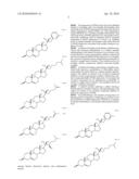 INHIBITION OF PPAR GAMMA EXPRESSION BY SPECIFIC OSTEOGENIC OXYSTEROLS diagram and image