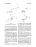 INHIBITION OF PPAR GAMMA EXPRESSION BY SPECIFIC OSTEOGENIC OXYSTEROLS diagram and image