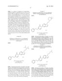 5-PYRIDINONE SUBSTITUTED INDAZOLES diagram and image