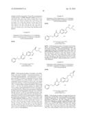 5-PYRIDINONE SUBSTITUTED INDAZOLES diagram and image