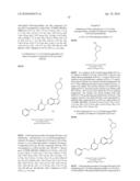 5-PYRIDINONE SUBSTITUTED INDAZOLES diagram and image