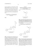 5-PYRIDINONE SUBSTITUTED INDAZOLES diagram and image