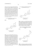 5-PYRIDINONE SUBSTITUTED INDAZOLES diagram and image