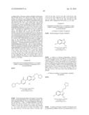 5-PYRIDINONE SUBSTITUTED INDAZOLES diagram and image