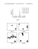 METHOD OF PREVENTING AND TREATING AIRWAY REMODELING AND PULMONARY INFLAMMATION USING A2B ADENOSINE RECEPTOR ANTAGONISTS diagram and image