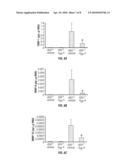 METHOD OF PREVENTING AND TREATING AIRWAY REMODELING AND PULMONARY INFLAMMATION USING A2B ADENOSINE RECEPTOR ANTAGONISTS diagram and image