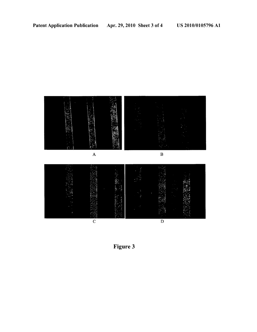 LIQUID SUPRAMOLECULAR NANOSTAMPING (LISUNS) - diagram, schematic, and image 04