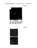 Methods for Preparation of Graphene Nanoribbons From Carbon Nanotubes and Compositions, Thin Films and Devices Derived Therefrom diagram and image