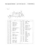 METHODS FOR MASSIVE CULTURE OF DINOPHYSIS ACUMINATA AND ISOLATION OF PECTENOTOXIN-2 diagram and image