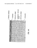 BLOOD AND INTERSTITIAL FLUID SAMPLING DEVICE diagram and image