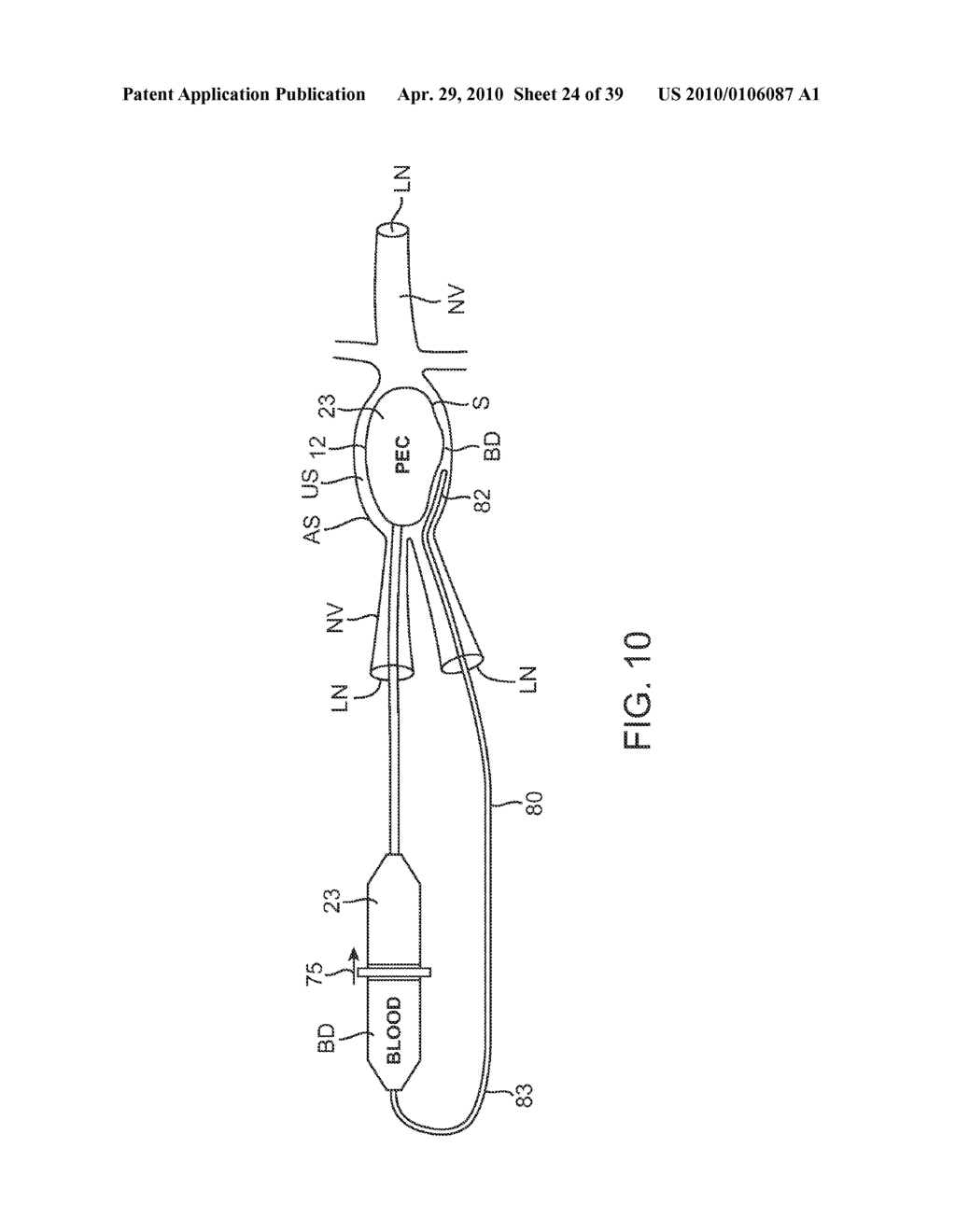 SYSTEM AND METHODS FOR ENDOVASCULAR ANEURYSM TREATMENT - diagram, schematic, and image 25