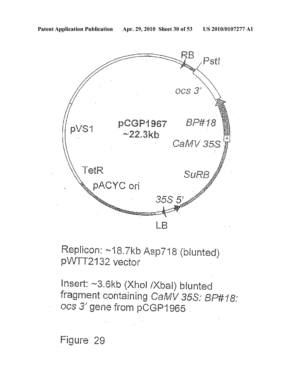 FLAVONOID 3',5' HYDROXYLASE GENE SEQUENCES AND USES THEREFOR - diagram, schematic, and image 31