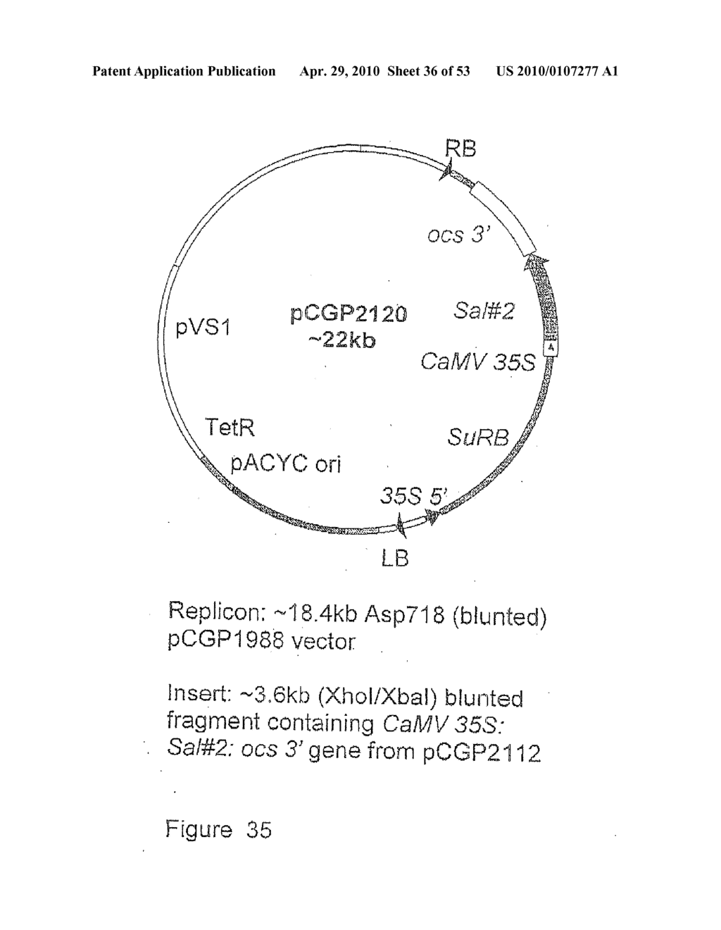 FLAVONOID 3',5' HYDROXYLASE GENE SEQUENCES AND USES THEREFOR - diagram, schematic, and image 37