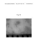 METHOD FOR FORMING RESIN SURFACE, METHOD FOR MANUFACTURING ARTICLE WHICH FORMS RECESSED PORTIONS DIFFERENT IN SIZE RANDOMLY ON SURFACE THEREOF AND ARTICLE MANUFACTURED BY THE METHOD, AND METHOD FOR MANUFACTURING GLOVES AND GLOVES MANUFACTURED BY THE METHOD diagram and image