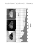 4D IMAGING IN AN ULTRAFAST ELECTRON MICROSCOPE diagram and image