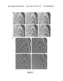 4D IMAGING IN AN ULTRAFAST ELECTRON MICROSCOPE diagram and image