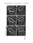 4D IMAGING IN AN ULTRAFAST ELECTRON MICROSCOPE diagram and image