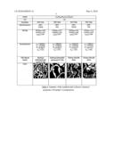 POSITIVE ELECTRODE MATERIAL FOR A LITHIUM ION ACCUMULATOR diagram and image