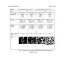 POSITIVE ELECTRODE MATERIAL FOR A LITHIUM ION ACCUMULATOR diagram and image