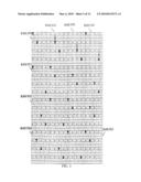 IMAGE PICKUP APPARATUS diagram and image